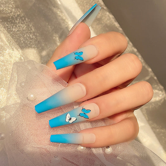 Blue Butterfly